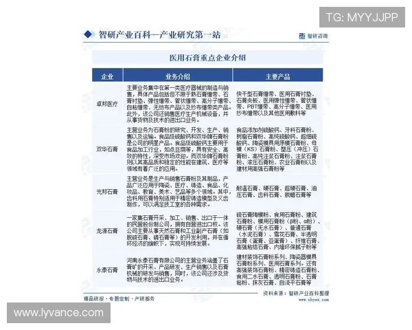 洞悉欧洲五大联赛最新格局与未来趋势深度观察全景解析动态纵横视角