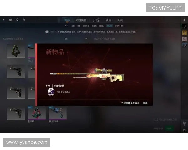 CSGO装备选购指南：适合玩家的游戏手柄推荐与使用技巧分享