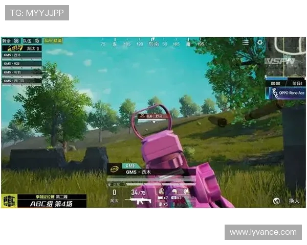 聚焦和平精英TES团队协作的成功秘诀与挑战分析