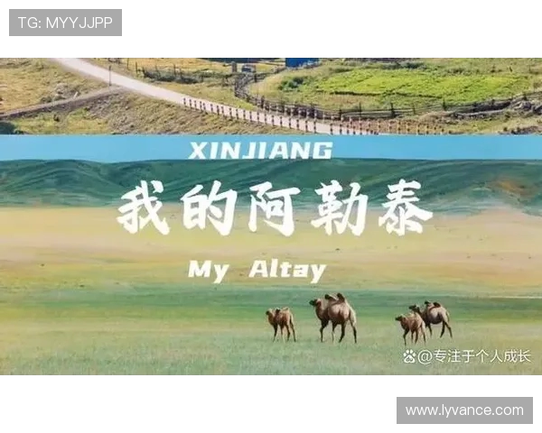 飞盘与梦想交织的旅程：赵伟的深度对话与人生启示